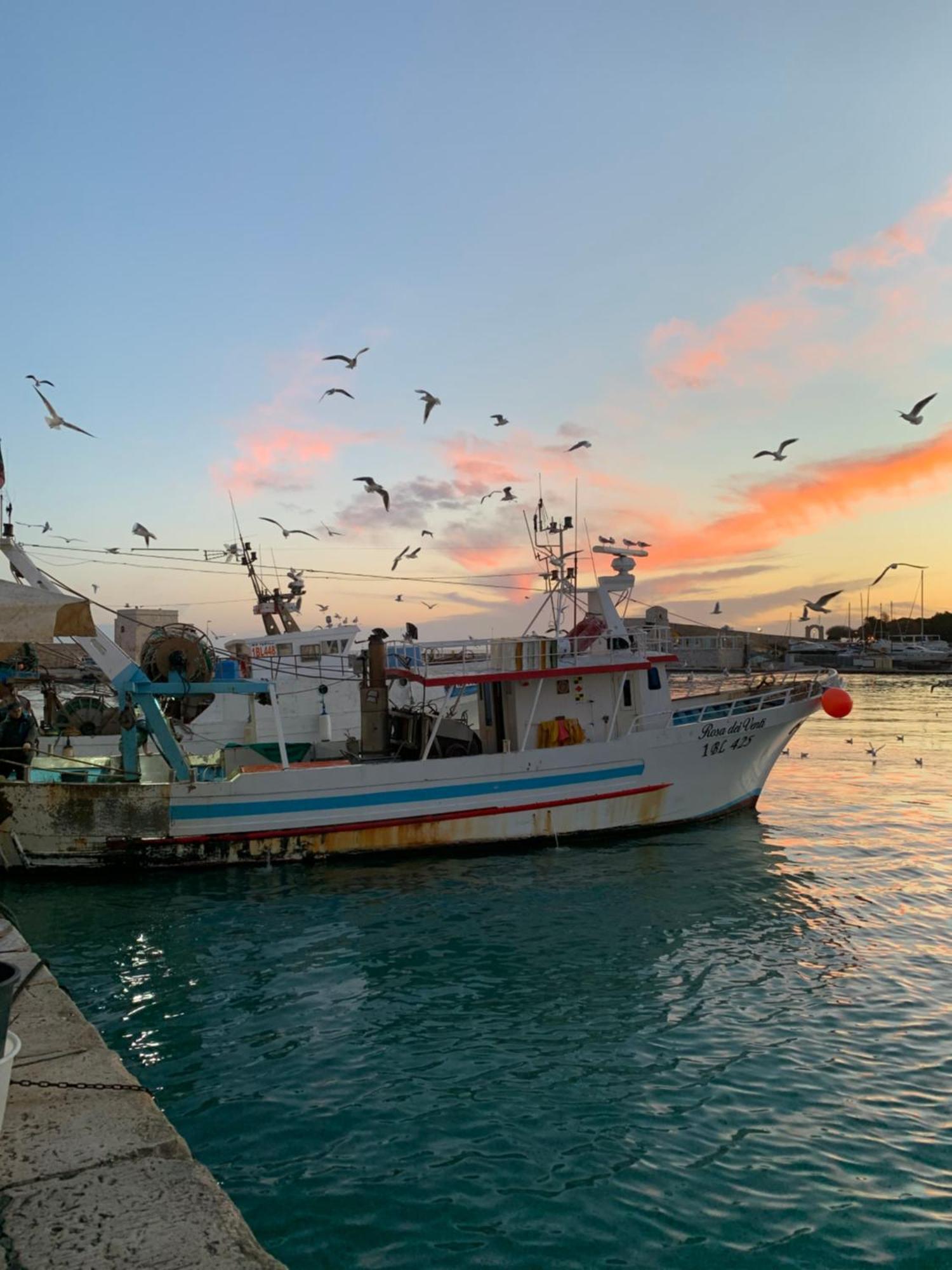 Vischi Apartment Trani By Le Marinelle Loc Turistica Luaran gambar